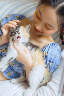 电视剧伪装者免费观看全集完整版